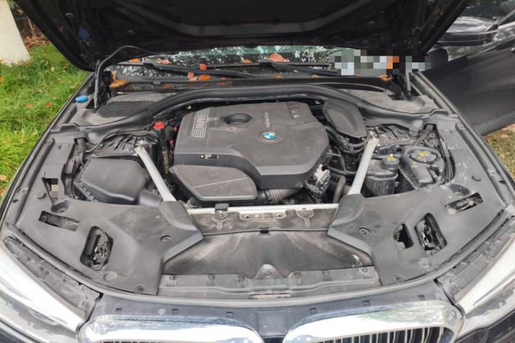 Used BMW 5 Series 2018 Facelifted 530Li Luxury Edition Premium Package Engine Bay