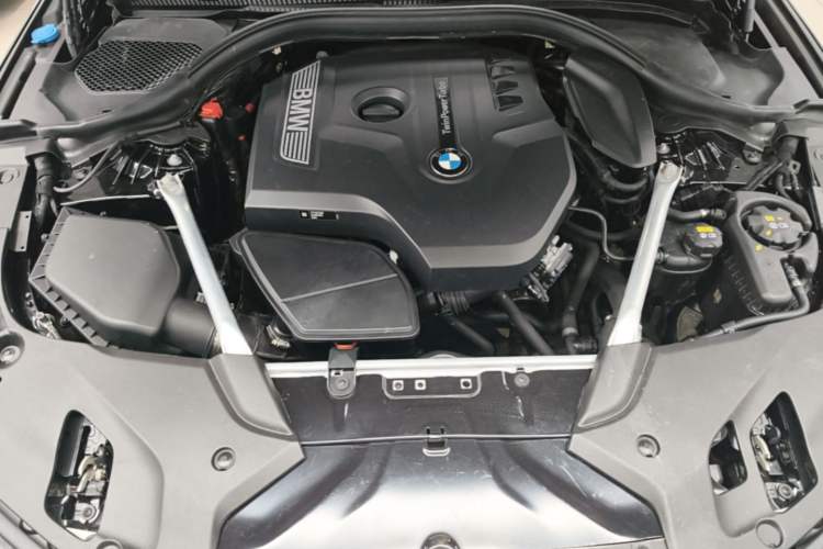 Used BMW 5 Series 2018 Facelifted 530Li Luxury Edition Premium Package Engine Bay