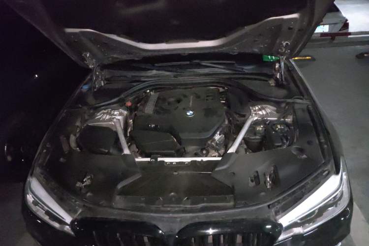 Used BMW 5 Series 2018 Facelifted 530Li Luxury Edition Premium Package Engine Bay