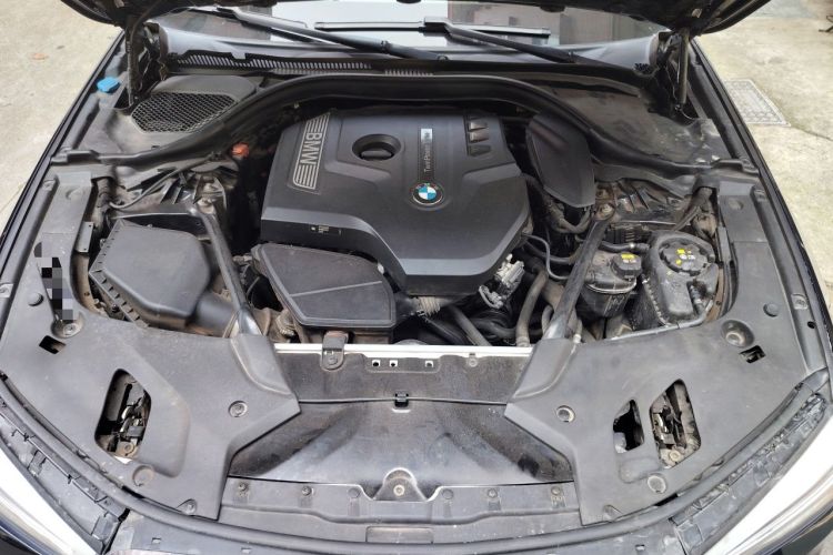 Used BMW 5 Series 2018 530Li Luxury Edition M Sport Package Engine Bay