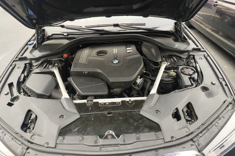 Used BMW 5 Series 2018 Restyled 530Li Luxury Edition M Sport Package Engine Bay