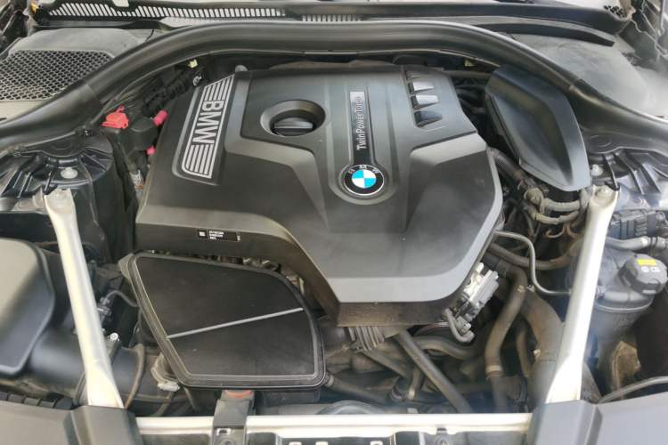 Used BMW 5 Series 2018 Restyled 530Li Luxury Edition M Sport Package Engine Bay