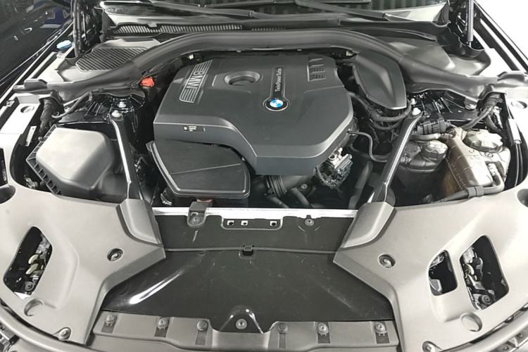 Used BMW 5 Series 2018 530Li Luxury Edition M Sport Package Engine Bay