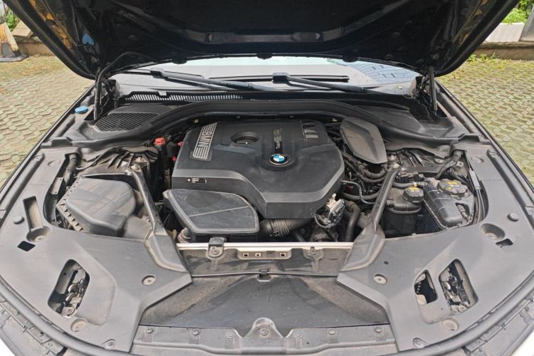 Used BMW 5 Series 2018 530Li Luxury Edition M Sport Package Engine Bay
