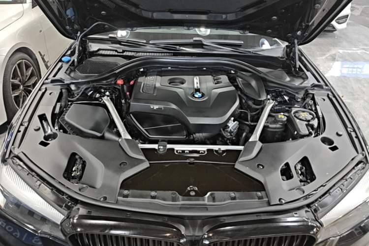 Used BMW 5 Series 2018 525Li M Sport Package Engine Bay