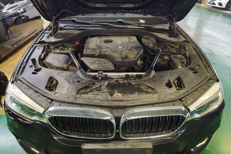Used BMW 5 Series 2018 Restyled 530Li Luxury Edition M Sport Package Engine Bay