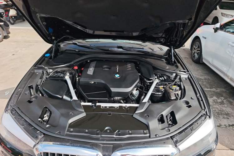 Used BMW 5 Series 2018 Revised Version 530Li Leading Edition Luxury Package Engine Bay
