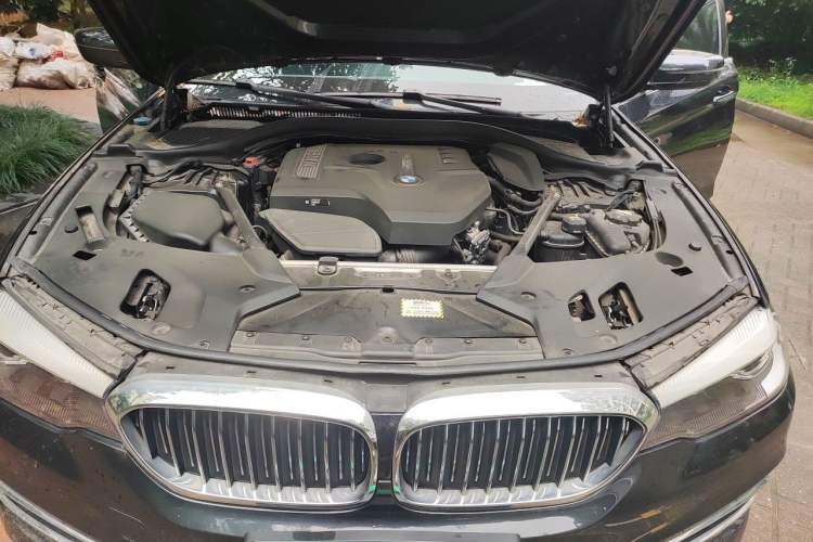 Used BMW 5 Series 2018 530Li Leading Edition Luxury Package Engine Bay