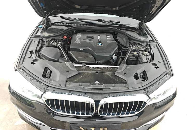 Used BMW 5 Series 2018 530Li Luxury Edition Premium Package Engine Bay