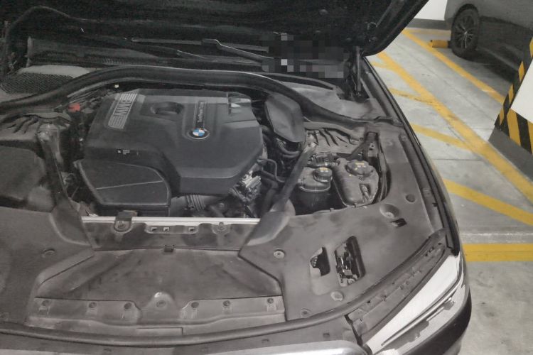 Used BMW 5 Series 2018 530Li Luxury Edition Premium Package Engine Bay Left