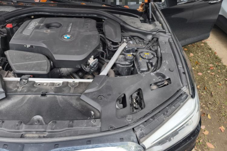 Used BMW 5 Series 2018 Facelifted 530Li Luxury Edition Premium Package Engine Bay Left