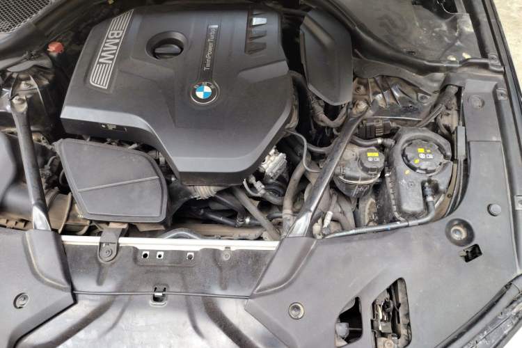 Used BMW 5 Series 2018 530Li Luxury Edition M Sport Package Engine Bay Left