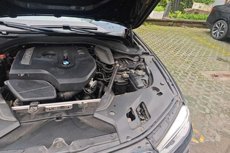 Used BMW 5 Series 2018 530Li Luxury Edition M Sport Package Engine Bay Left
