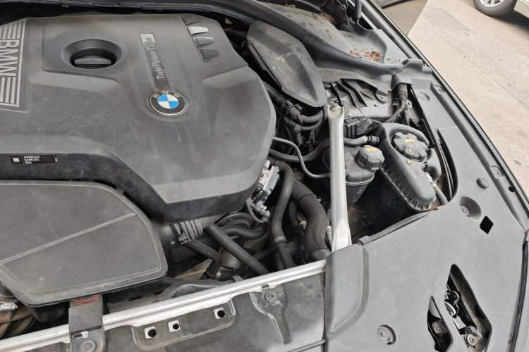 Used BMW 5 Series 2018 Revised Version 530Li Leading Edition Luxury Package Engine Bay Left