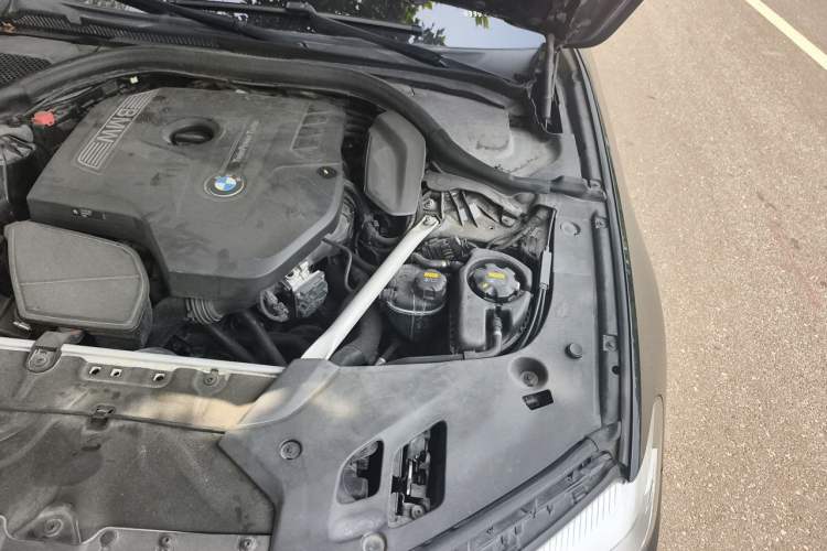 Used BMW 5 Series 2018 525Li Luxury Package Engine Bay Left