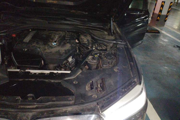 Used BMW 5 Series 2018 525Li M Sport Package Engine Bay Left