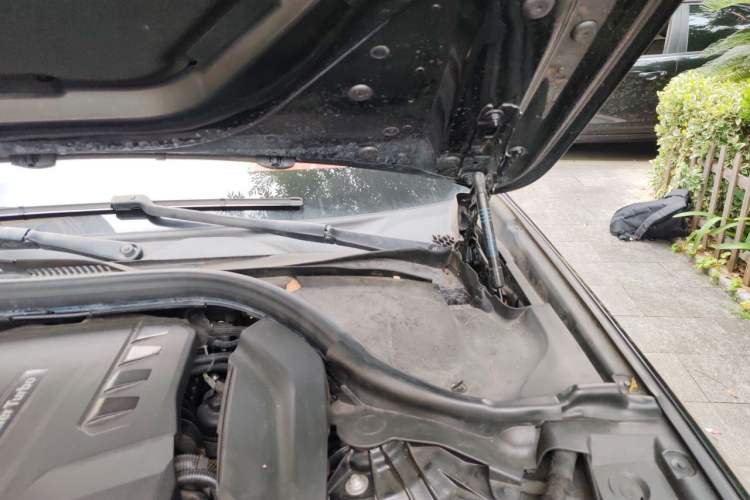 Used BMW 5 Series 2018 528Li Launch Special Edition Engine Bay Left