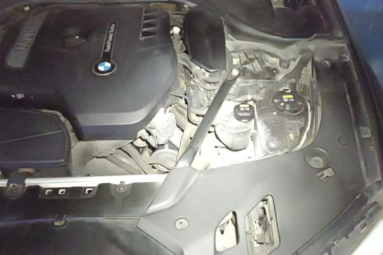 Used BMW 5 Series 2018 530Li Leading Model M Sport Package Engine Bay Left