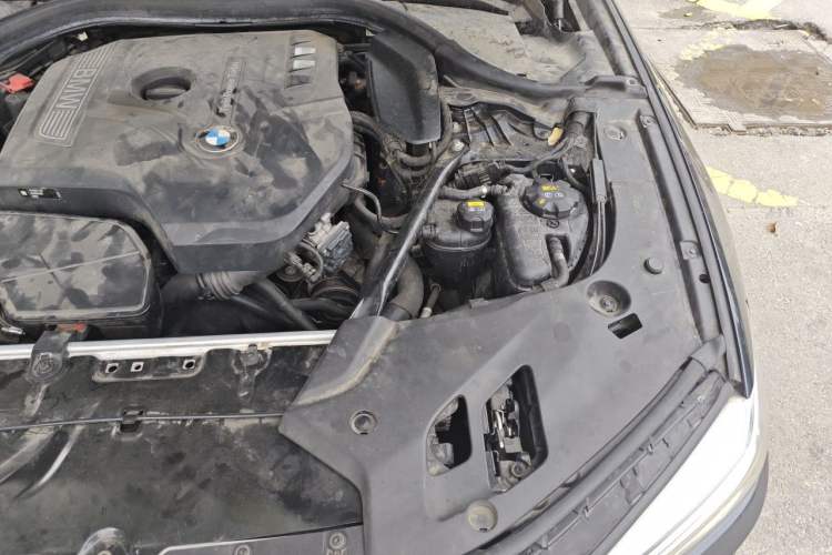 Used BMW 5 Series 2018 Restyled 530Li Luxury Edition M Sport Package Engine Bay Left