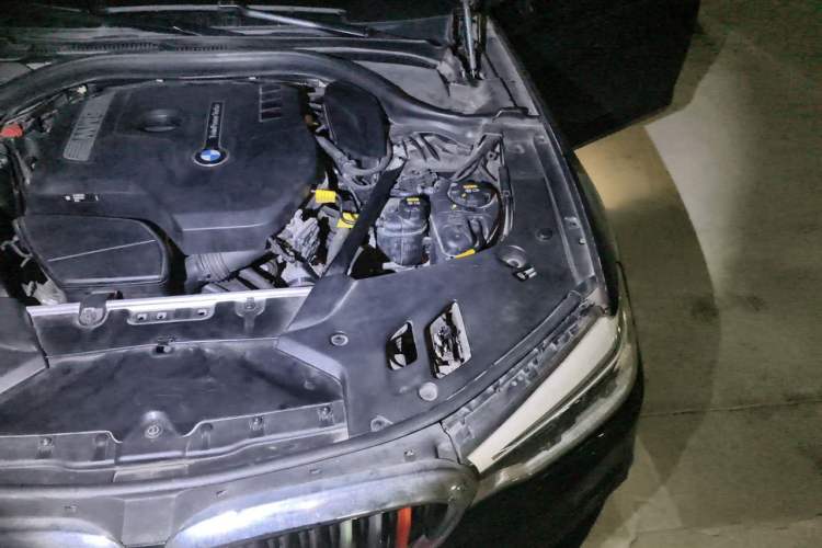 Used BMW 5 Series 2018 530Li Luxury Edition M Sport Package Engine Bay Left
