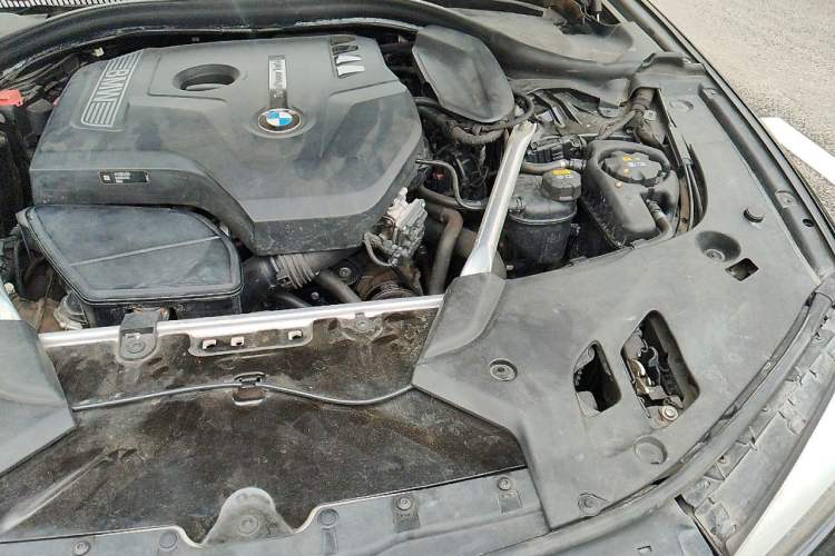 Used BMW 5 Series 2018 530Li Leading Edition Luxury Package Engine Bay Left