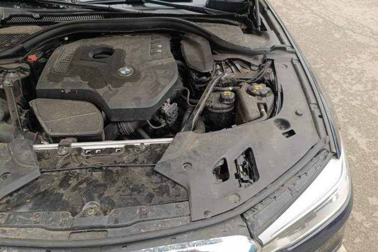 Used BMW 5 Series 2018 Restyled 530Li Leading Edition M Sport Package Engine Bay Left