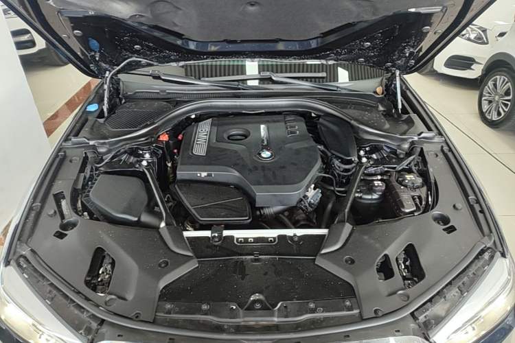 Used BMW 5 Series 2018 530Li Luxury Edition M Sport Package Engine Bay
