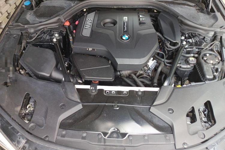 Used BMW 5 Series 2018 Facelifted 530Li Luxury Edition Premium Package Engine Bay