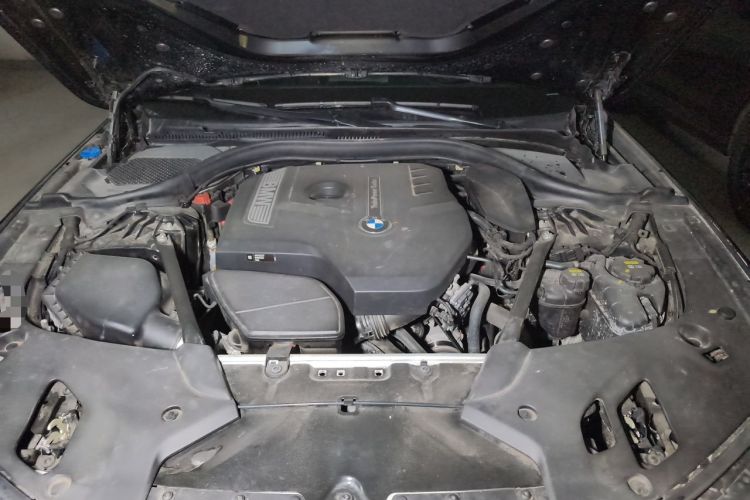 Used BMW 5 Series 2018 Facelifted 530Li Luxury Edition Premium Package Engine Bay