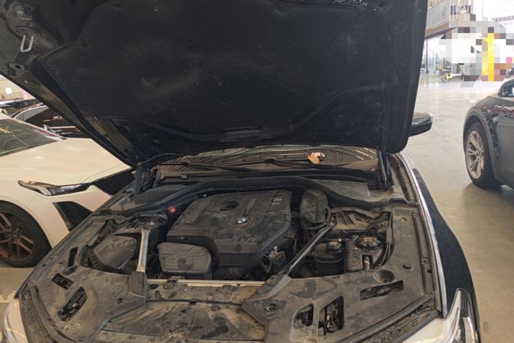 Used BMW 5 Series 2018 530Li Luxury Edition M Sport Package Engine Bay