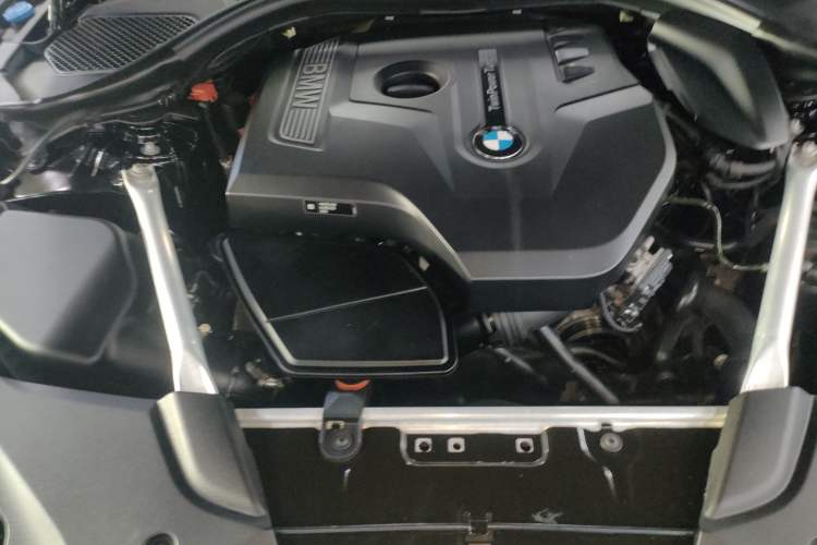 Used BMW 5 Series 2018 Facelifted 530Li xDrive M Sport Package Engine Bay