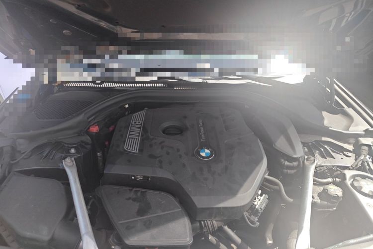 Used BMW 5 Series 2018 Restyled 530Li Luxury Edition M Sport Package Engine Bay