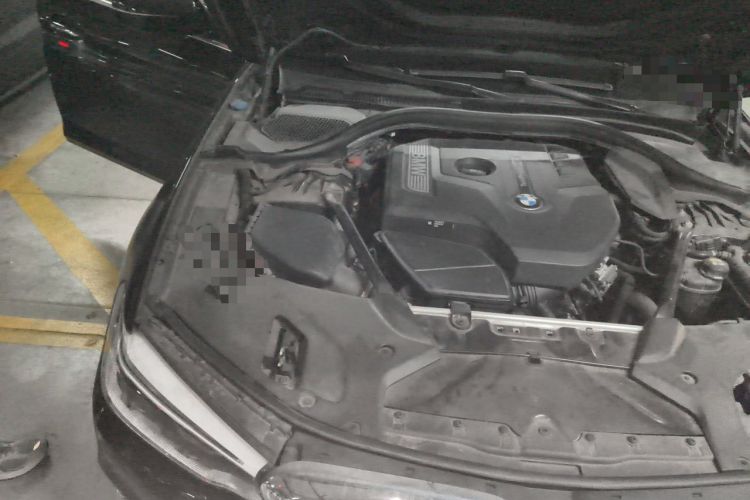 Used BMW 5 Series 2018 530Li Luxury Edition Premium Package Engine Bay Right