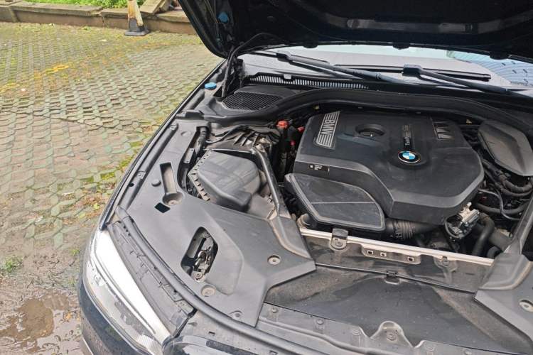 Used BMW 5 Series 2018 530Li Luxury Edition M Sport Package Engine Bay Right