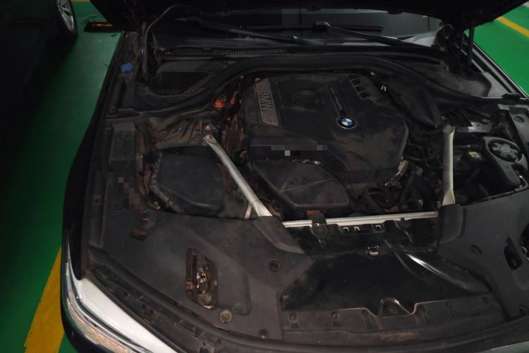 Used BMW 5 Series 2018 Restyled 530Li Leading Edition M Sport Package Engine Bay Right
