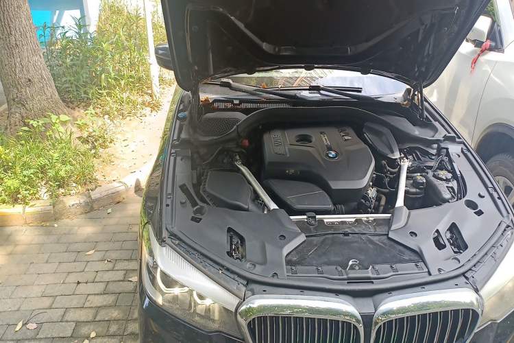 Used BMW 5 Series 2018 530Li Leading Edition Luxury Package Engine Bay Right