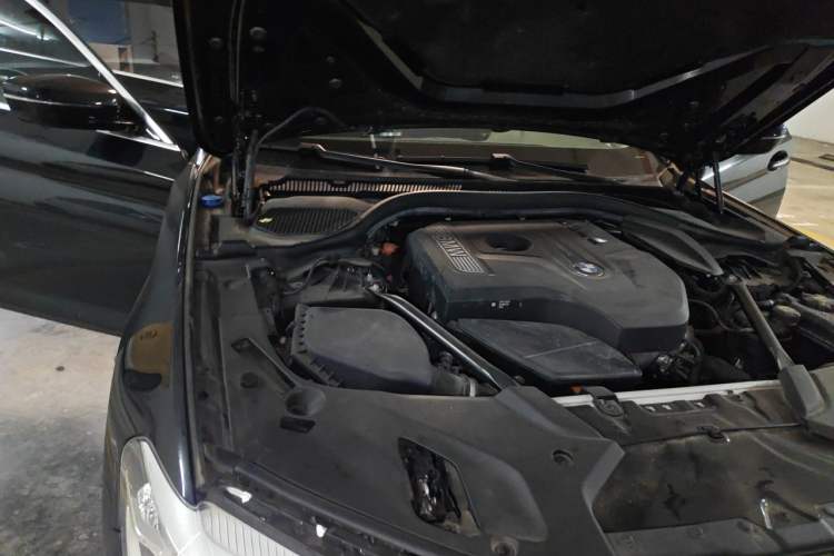 Used BMW 5 Series 2018 530Li Leading Edition Luxury Package Engine Bay Right
