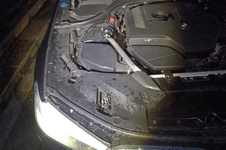 Used BMW 5 Series 2018 525Li M Sport Package Engine Bay Right