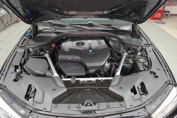 Used BMW 5 Series 2018 Restyled 530Li Luxury Edition M Sport Package Engine Bay