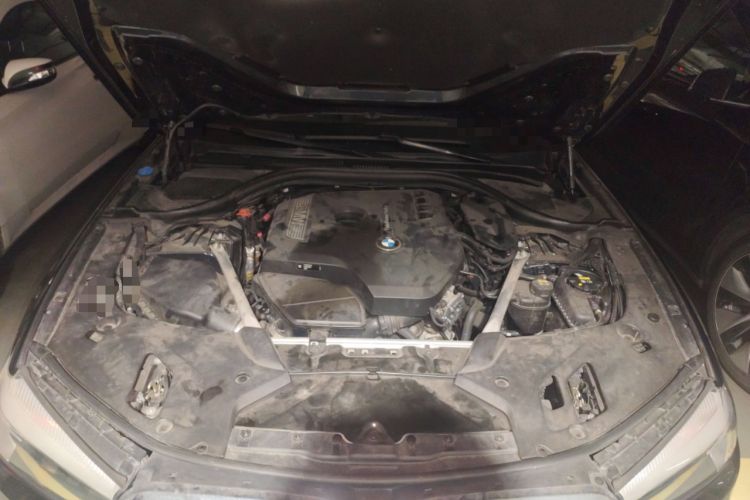 Used BMW 5 Series 2018 Restyled 530Li Leading Edition M Sport Package Engine Bay