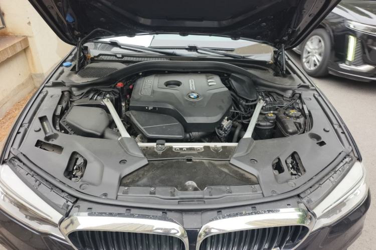 Used BMW 5 Series 2018 Restyled 530Li Luxury Edition M Sport Package Engine Bay