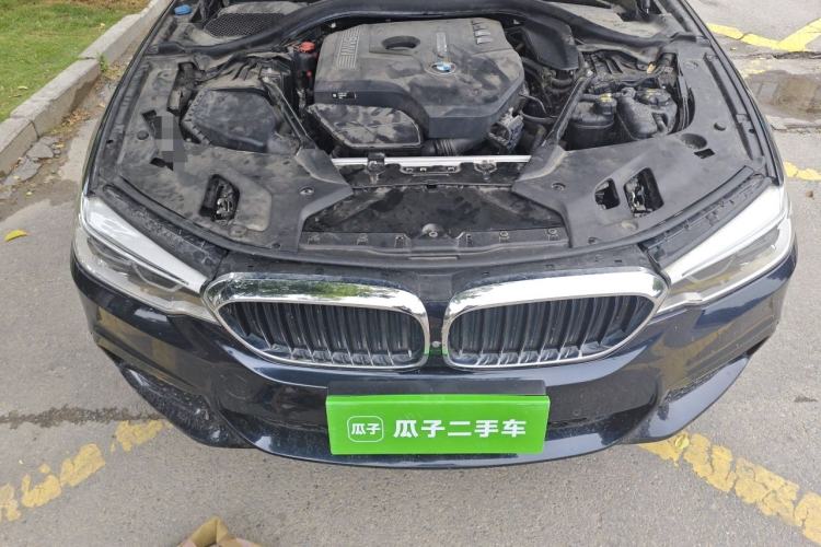 Used BMW 5 Series 2018 Restyled 530Li Luxury Edition M Sport Package Engine Bay