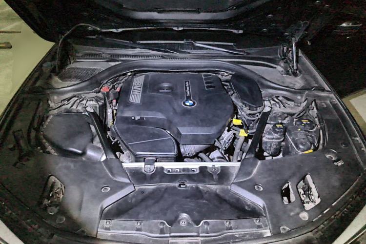 Used BMW 5 Series 2018 530Li Luxury Edition M Sport Package Engine Bay