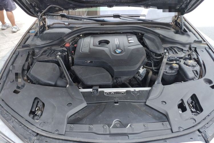 Used BMW 5 Series 2018 Restyled 530Li Luxury Edition M Sport Package Engine Bay