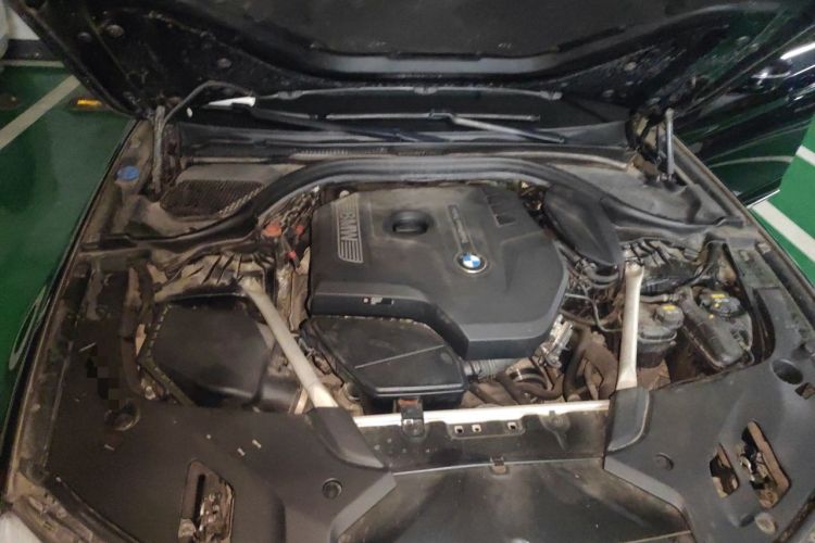 Used BMW 5 Series 2018 525Li Luxury Package Engine Bay