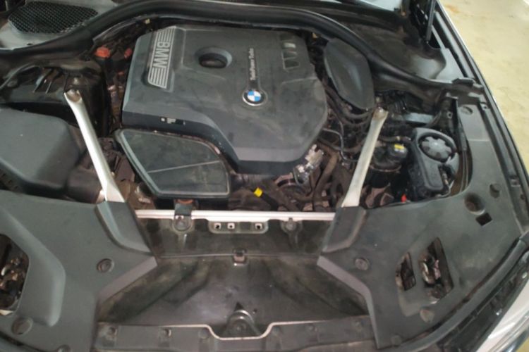 Used BMW 5 Series 2018 Facelifted 530Li Luxury Edition Premium Package Engine Bay
