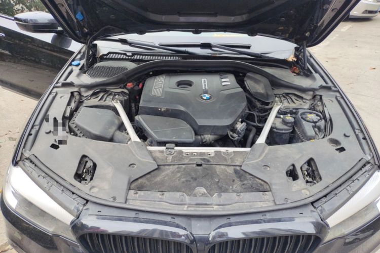 Used BMW 5 Series 2018 Restyled 530Li Leading Edition M Sport Package Engine Bay