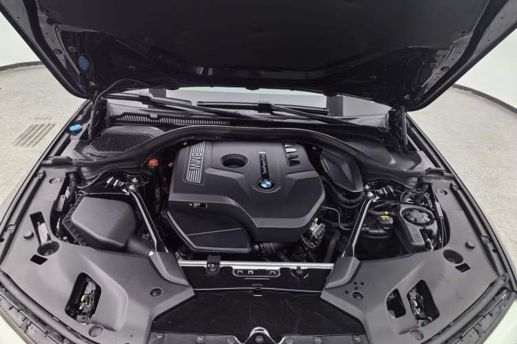 Used BMW 5 Series 2018 530Li Leading Model M Sport Package Engine Bay
