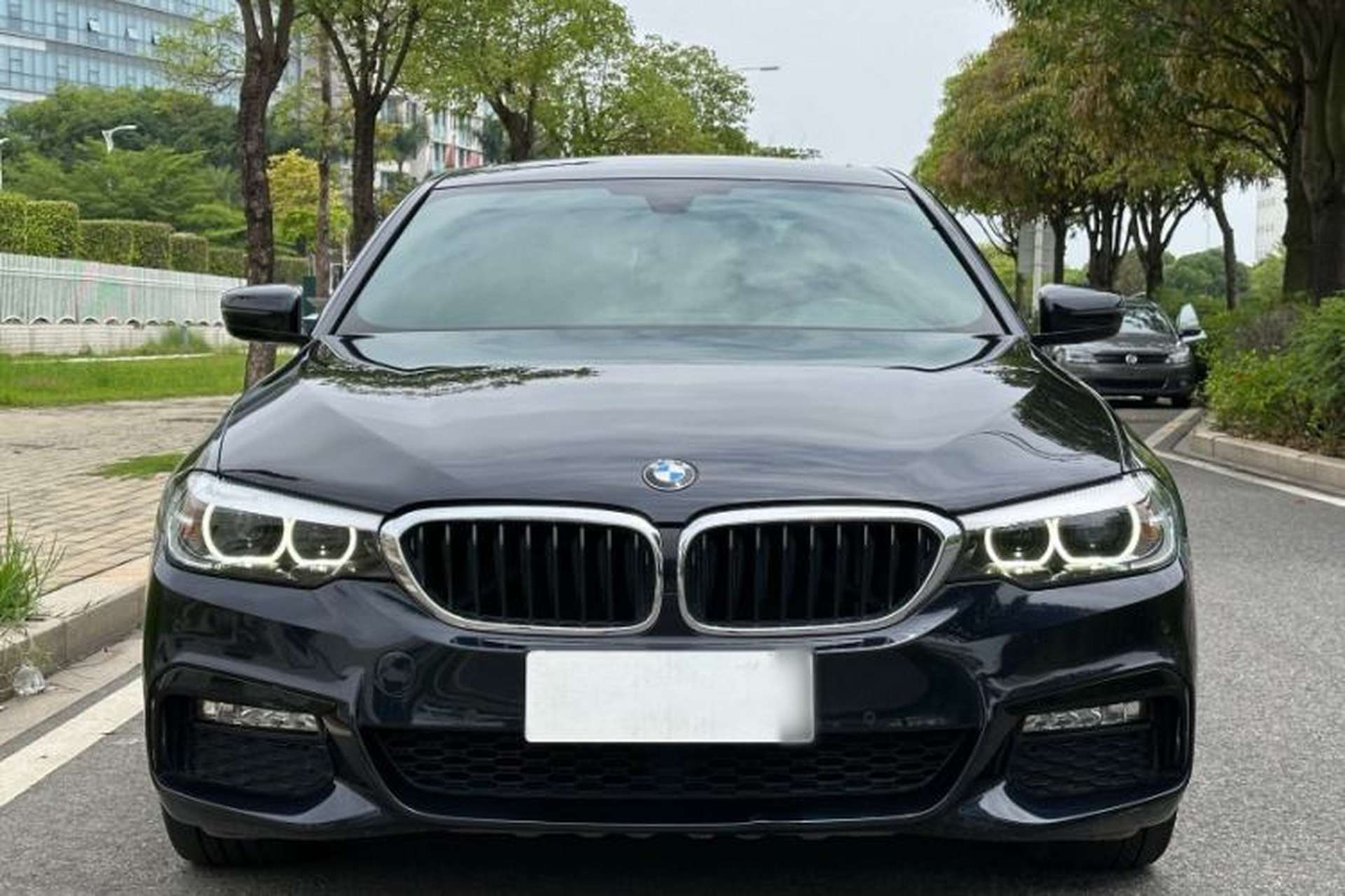 Used BMW 5 Series 2018 530Li Leading Model M Sport Package Exterior 4