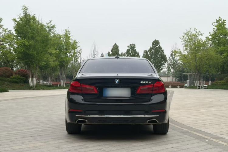 Used BMW 5 Series 2018 525Li Luxury Package Exterior 4